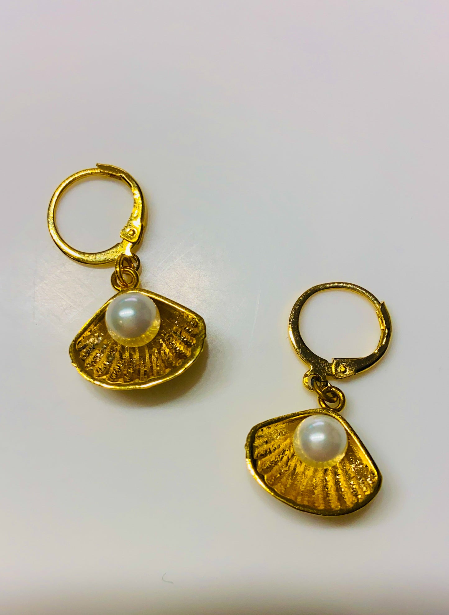 Aretes marina