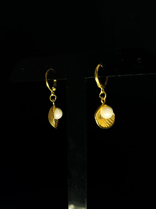 Aretes marina
